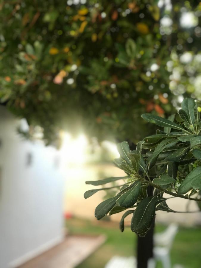 Pension Frasquita Otel Matalascañas Dış mekan fotoğraf